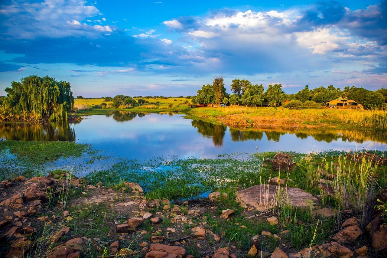 Namibia desert with dead tree